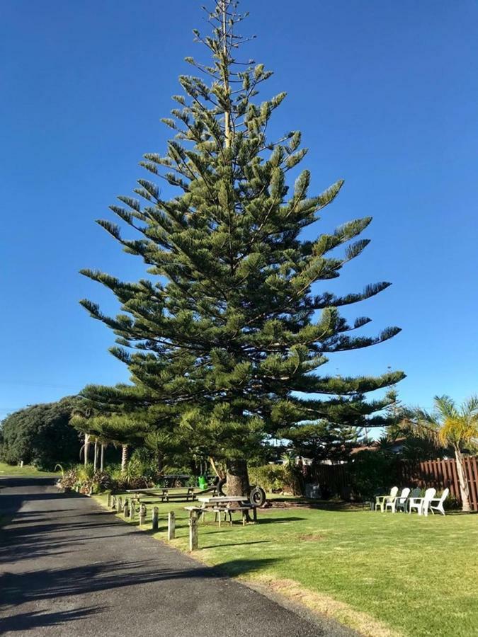 Beaches Motel Waihi Luaran gambar